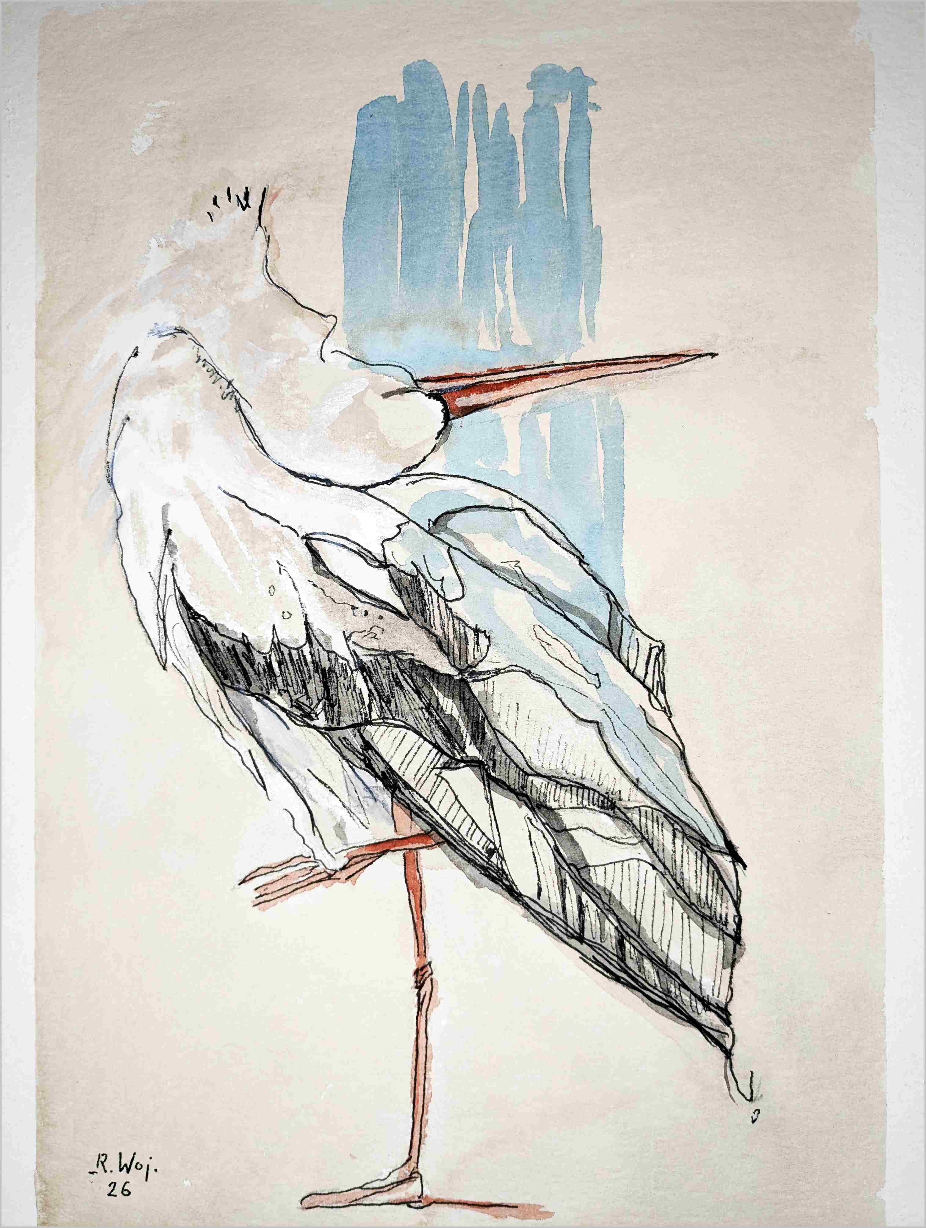   Storch